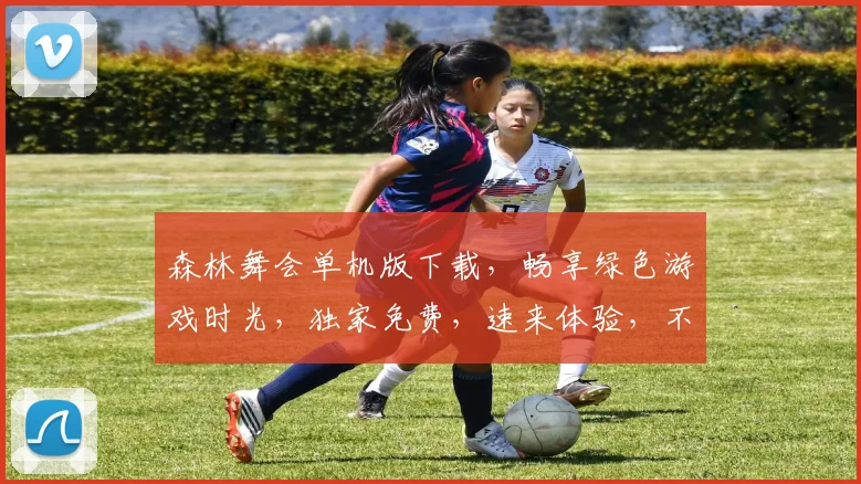 森林舞会单机版下载，畅享绿色游戏时光，独家免费，速来体验，不容错过
