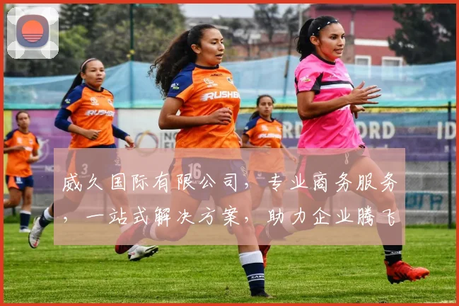 威久国际有限公司，专业商务服务，一站式解决方案，助力企业腾飞，共赢未来