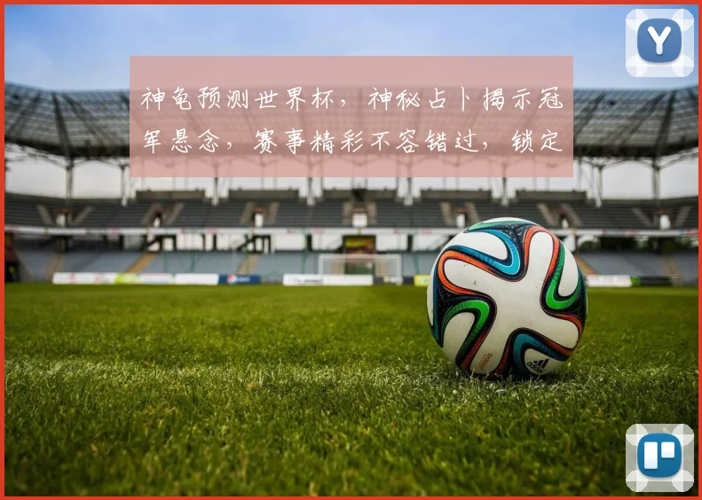 神龟预测世界杯，神秘占卜揭示冠军悬念，赛事精彩不容错过，锁定焦点
