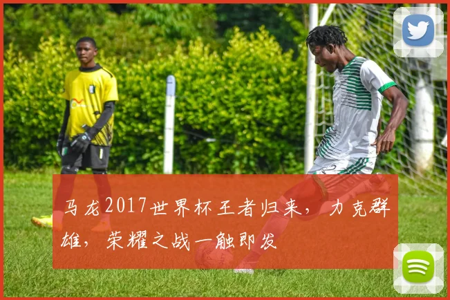 马龙2017世界杯王者归来，力克群雄，荣耀之战一触即发